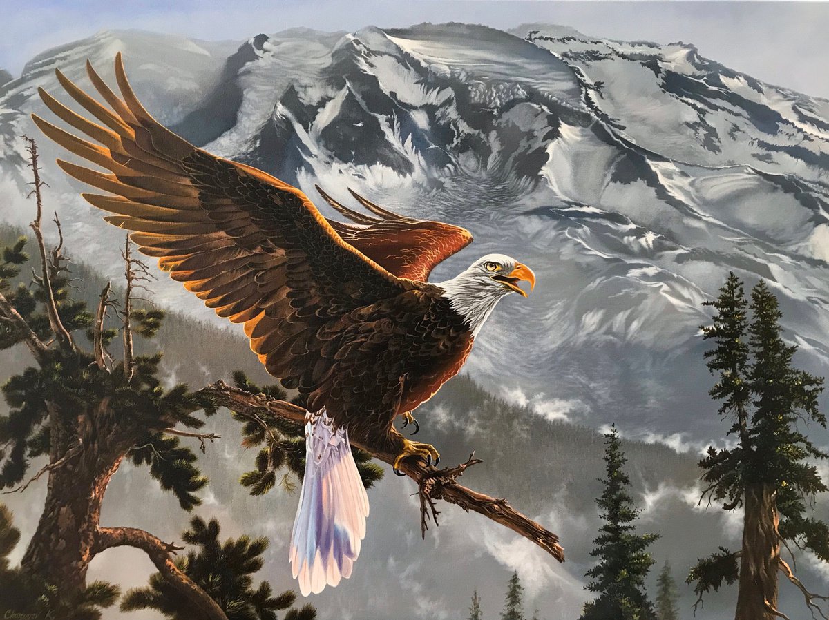 Eagle in the mountains by Kakajan Charyyev
