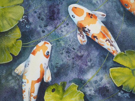 Koi fish