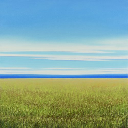 Spring Field- Blue Sky Landscape by Suzanne Vaughan