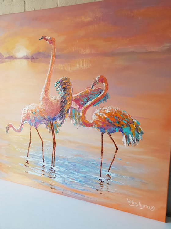 Flamingos