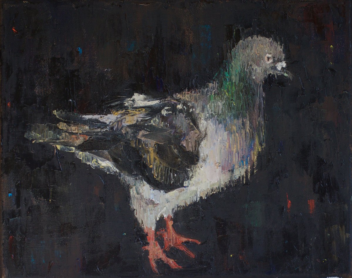 Pigeon by Marina Skepner