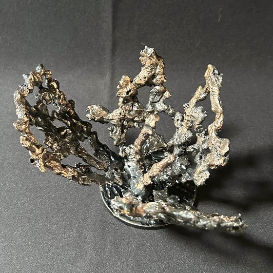 Flower 55-25
