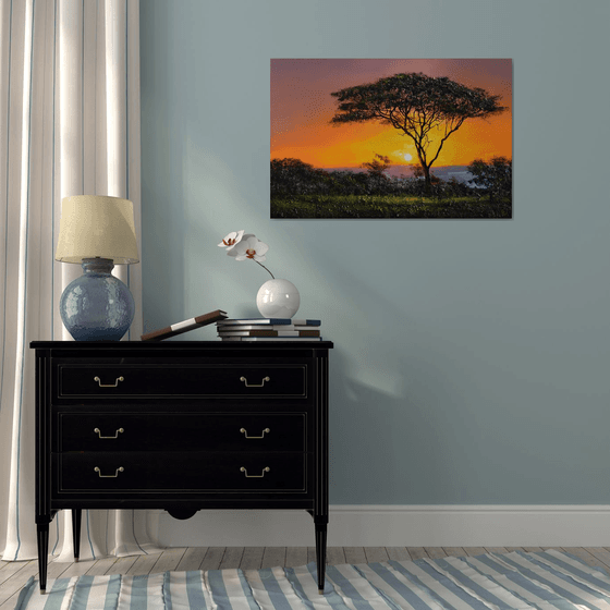 " Africa - Acacia tree " Special Price !!!