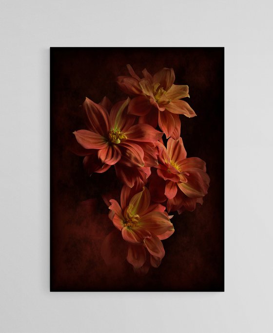 Vermilion Lilies