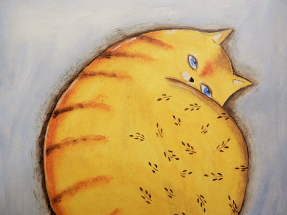 The funny yellow cat