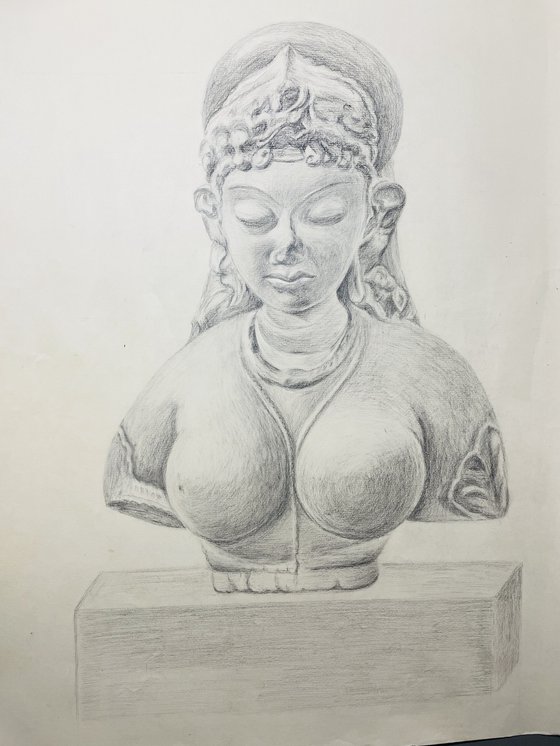 Female torso