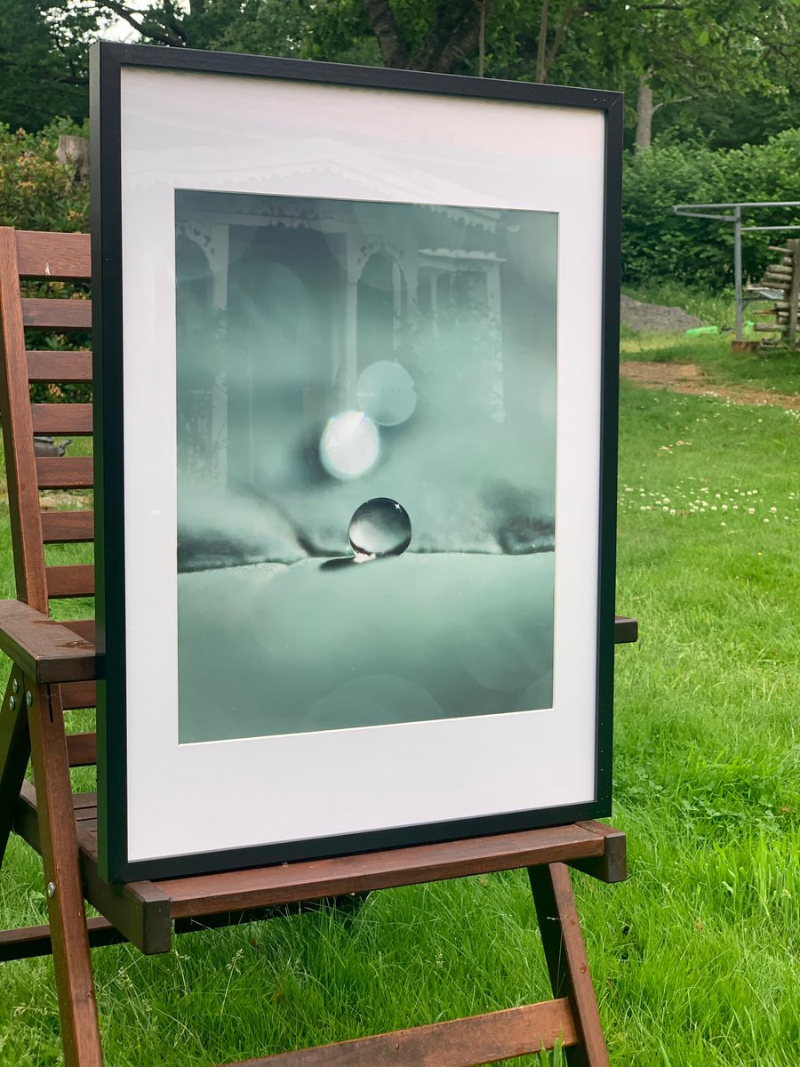 Organic Abstract Photograph By Inna Etuvgi, 17 X 21, Broccoli Dew, Original Artwork