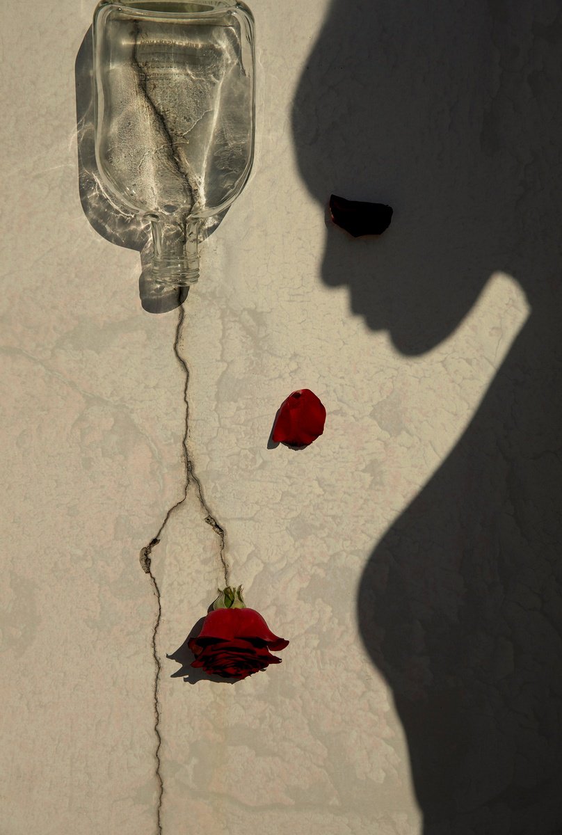 Surrealistic Botanical Photograph By Xidong Luo, 20 X 28", A Rose Through The Crack #2, Original Artwork
