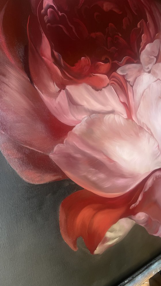 Old Holland flower 12