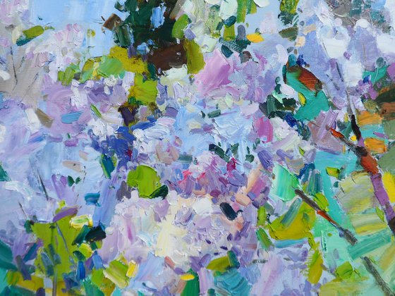 " Lilac "