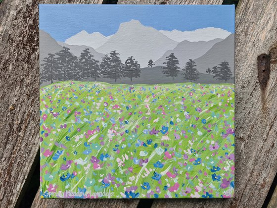 Spring Meadow, Langdale