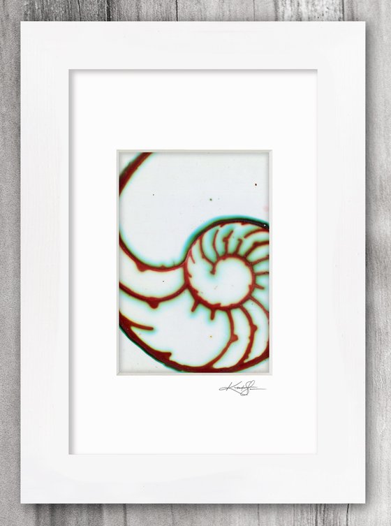 Nautilus Shell Collection 1 - 3 Small Matted paintings by Kathy Morton Stanion