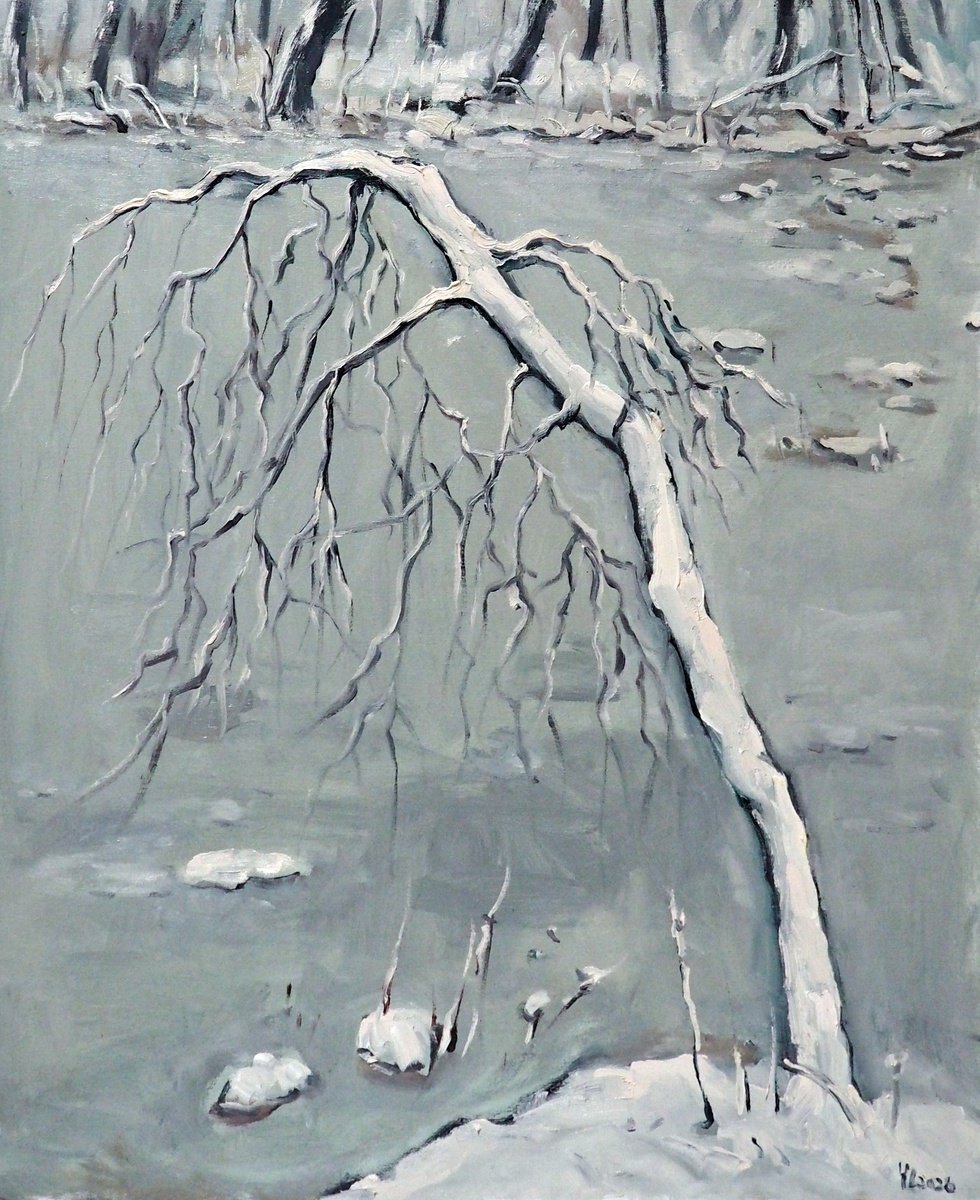 Winter Landscape By Yuanyuan Liu, 20 X 24, Artwork For Sale On Artfinder