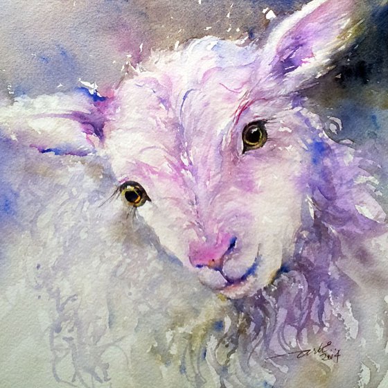 Iris the Lamb