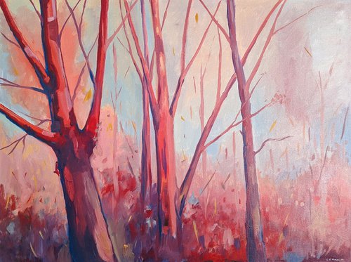 Trees In Contrast by Lucy Fiona Morrison