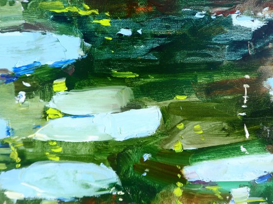 "Water lilies"