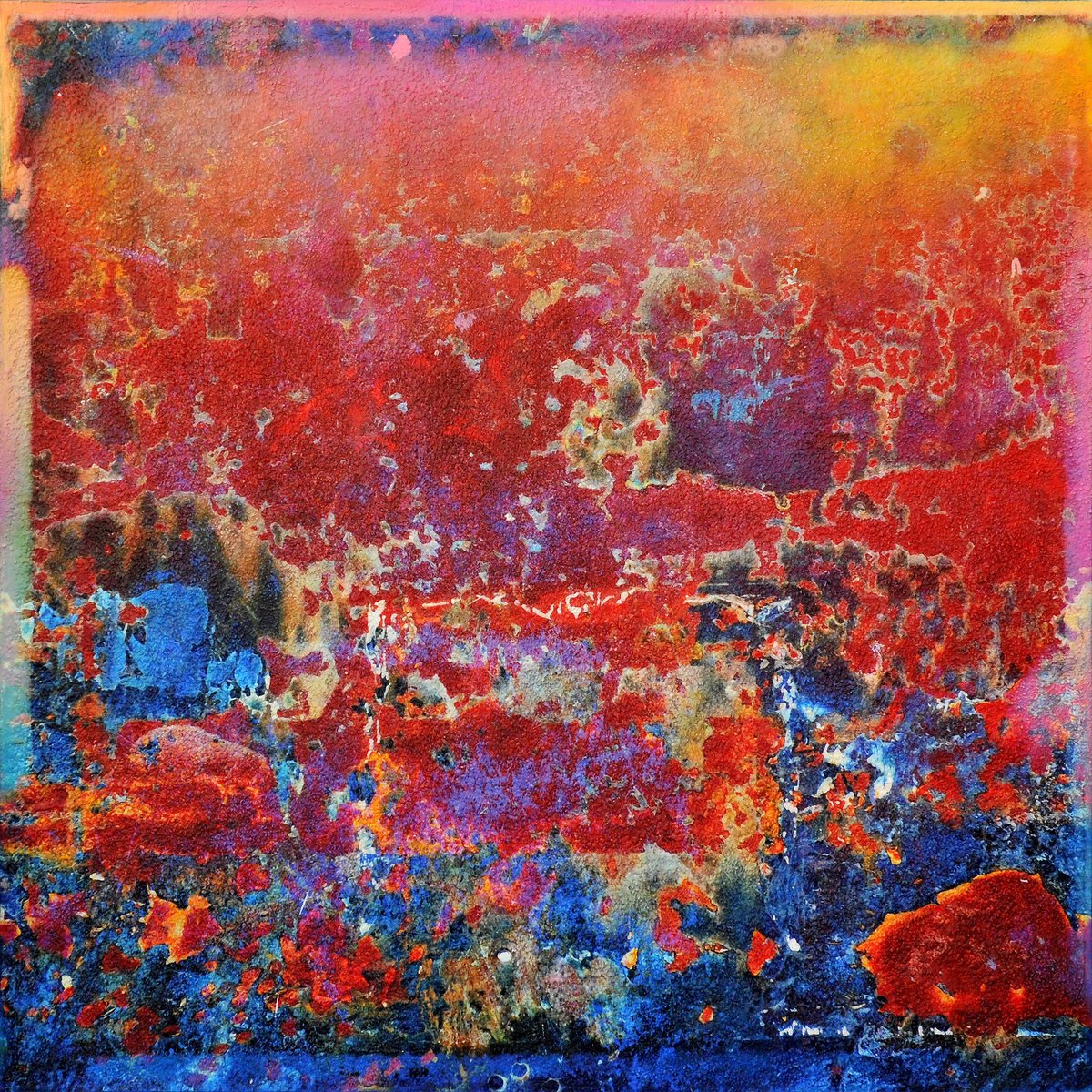 Organic Abstract Painting By Karin Vermeer, 51 X 51", Kalimaya, Original Artwork