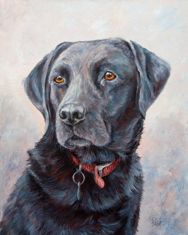 Black Lab Acrylic Painting By Ruth Aslett Artfinder