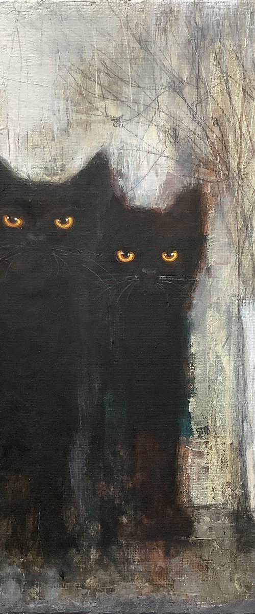 BLACK CATS by Eva Fialka