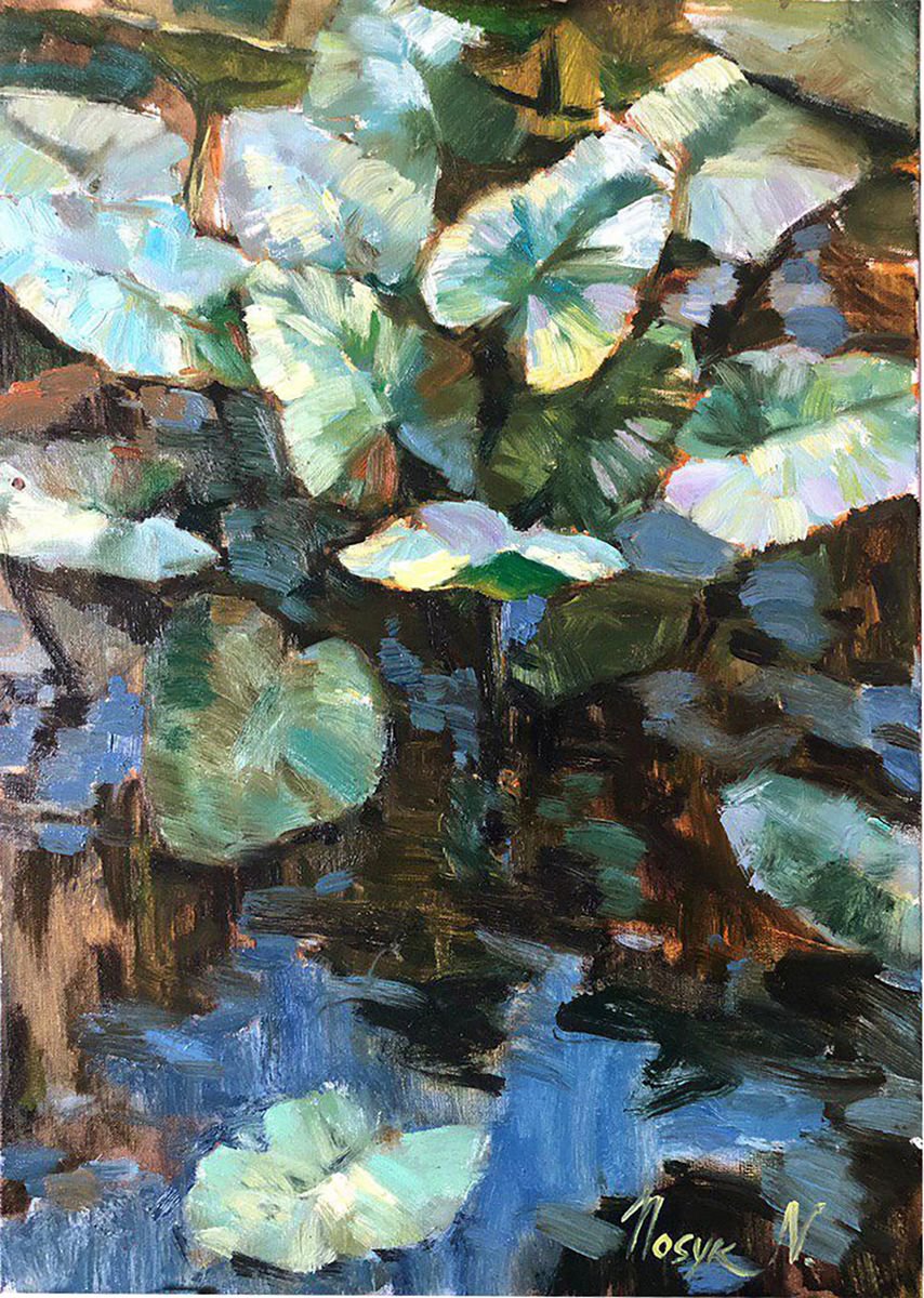 Water lilies on low water | oil painting on canvas by Nataliia Nosyk