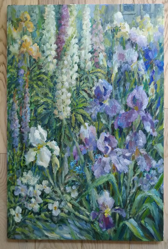 Irises N 4