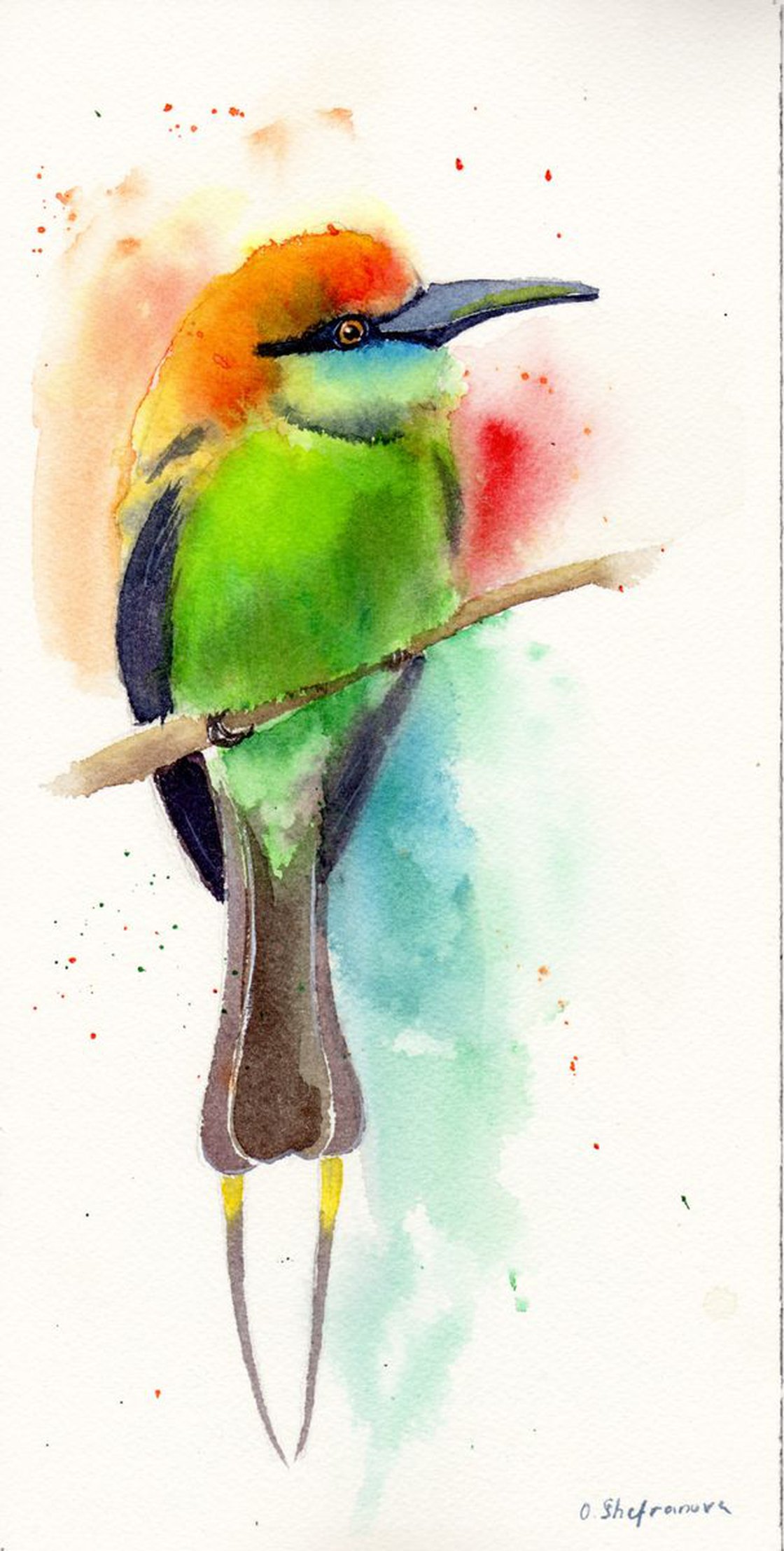 Bee-eater on Watercolor Paper 