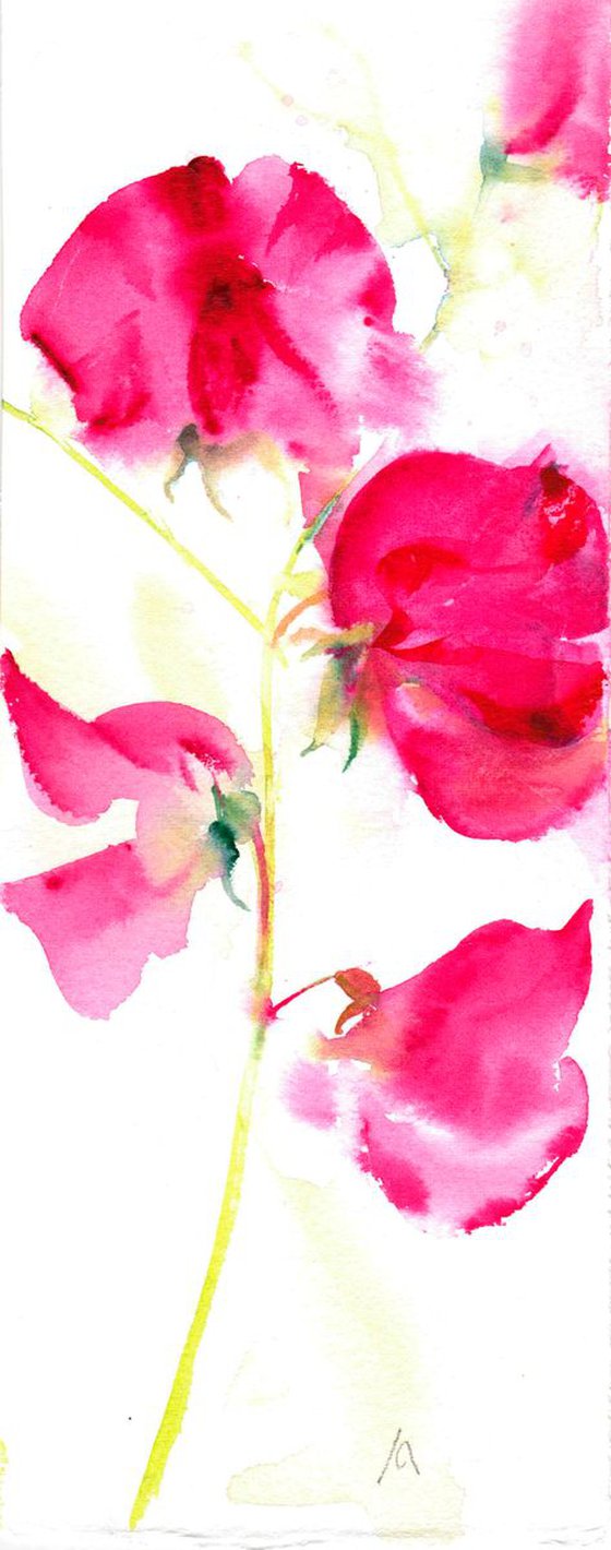 Sweetpea Painting, Floral Art, Original Watercolour painting, Mini Art, Small painting, Contemporary Floral, Deep Pink