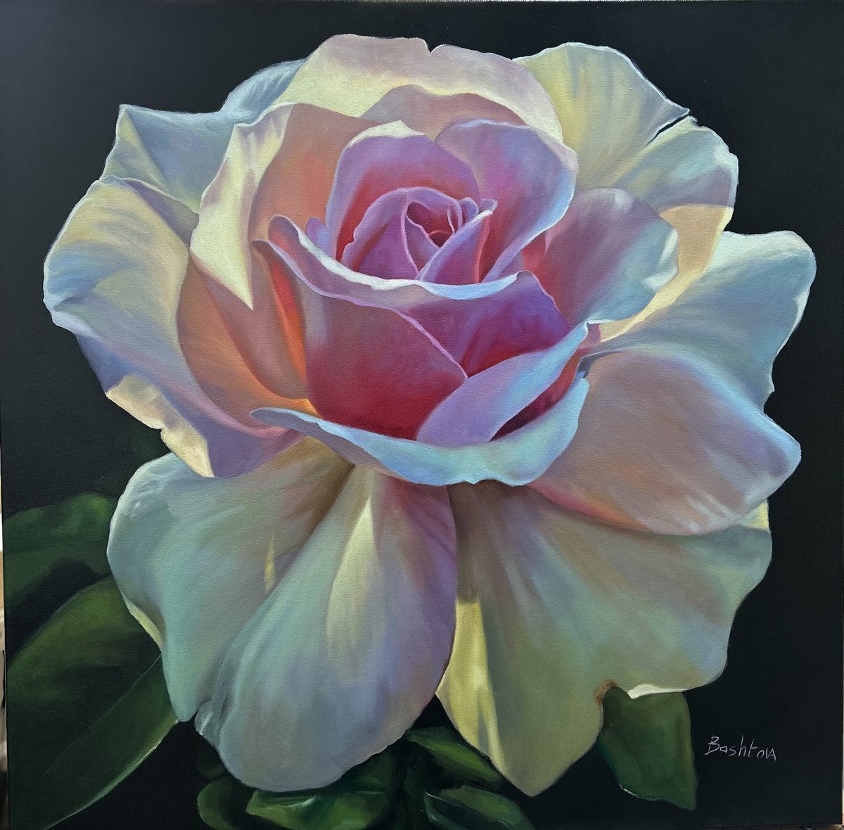 Photorealistic Oil Painting , Radiance Of The Morning Rose By Mariia Bashtova, 30 X 30, Artwork For Sale On Artfinder