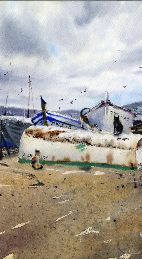 Spain cats by Eugenia Gorbacheva