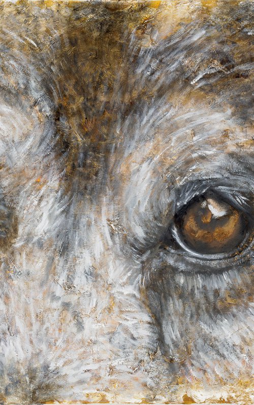 Old Boy Eyes by Tracey Walker