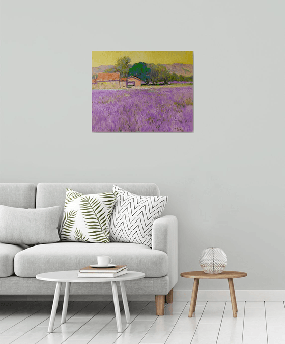 Lavender Field