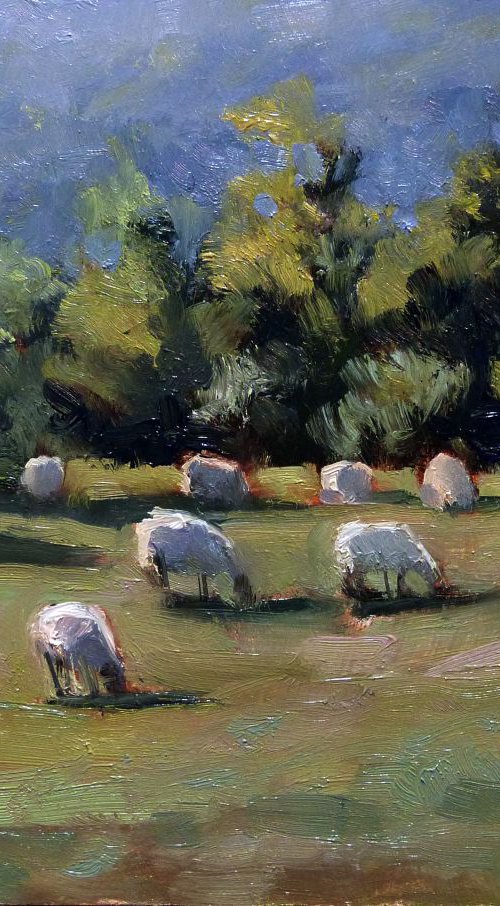 Sheeps by Pascal Giroud