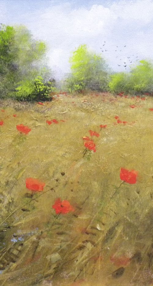 "POPPIES" by Colin Buckham