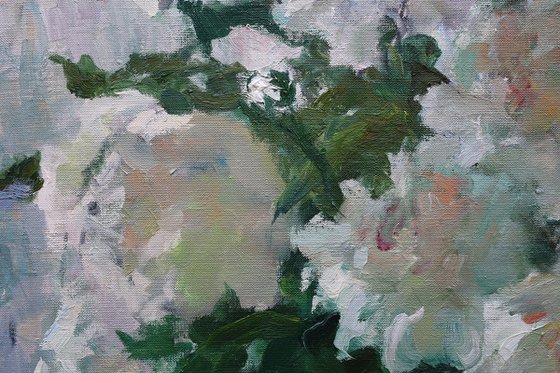“White Peonies”