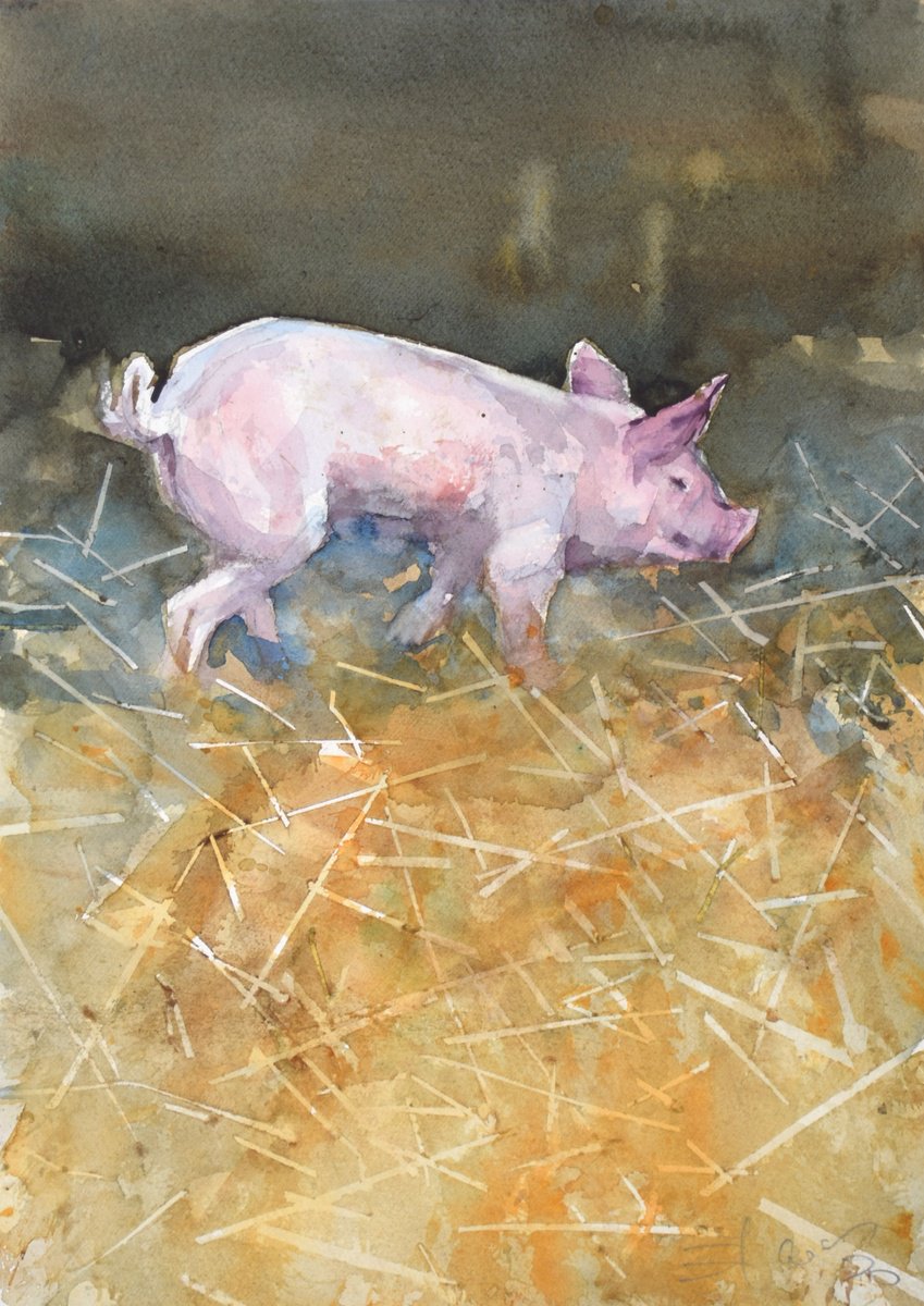 Expressive Animal Watercolour By Goran Zigolic Watercolors, 11 X 15, Piggy 5, Original Artwork