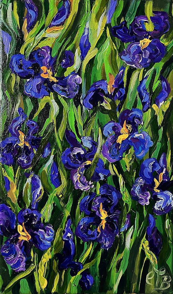 Purple Irises