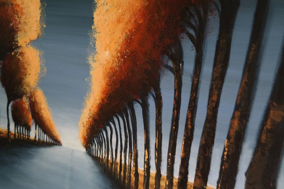Way to unknown III - Fields and Colors Series