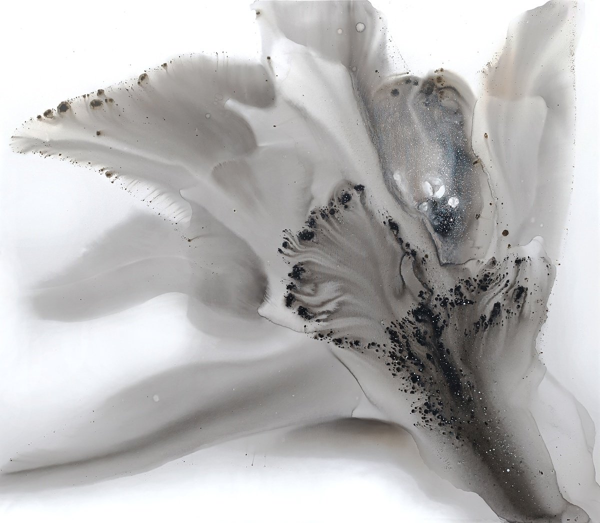  Nature 512 By Muriel Napoli, 63 X 55, Artwork For Sale On Artfinder