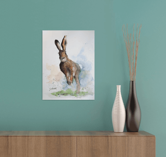 Hare II