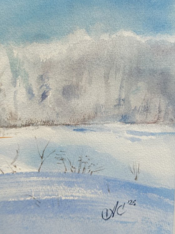 Land: Between Snow and Sky