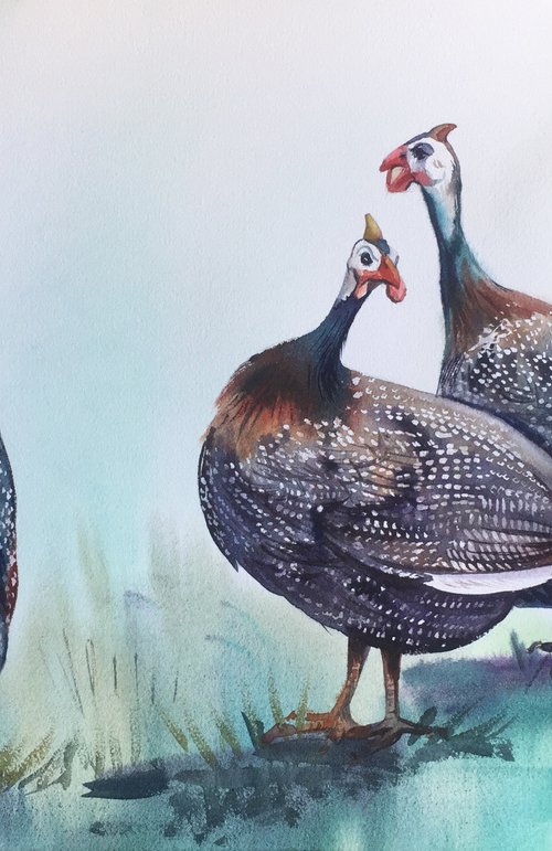 Guinea fowl by Natalia Veyner