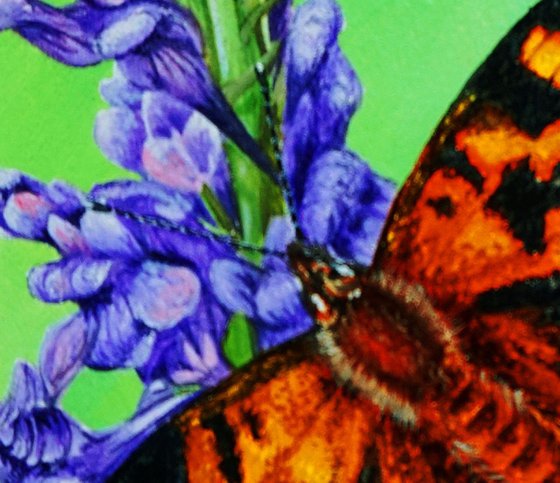 Painted Lady on Purple Toadflax 5x7.5inch