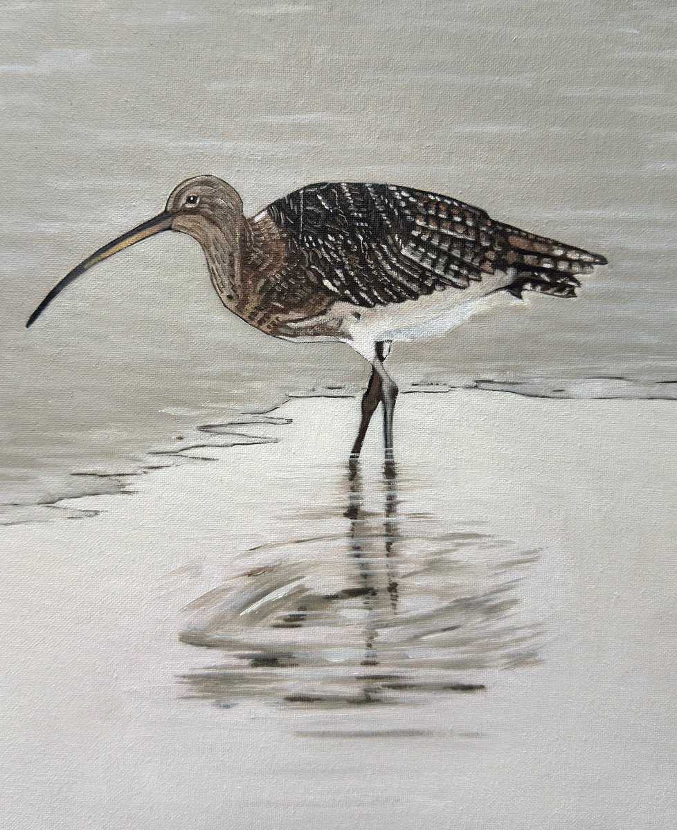 Illustrative Animal Oil Painting By Jem Gooding, 9 X 12, Curlew, Original Artwork