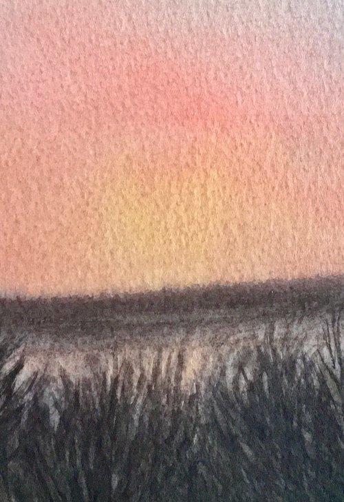 North Dorset ridgeway sunset by Samantha Adams