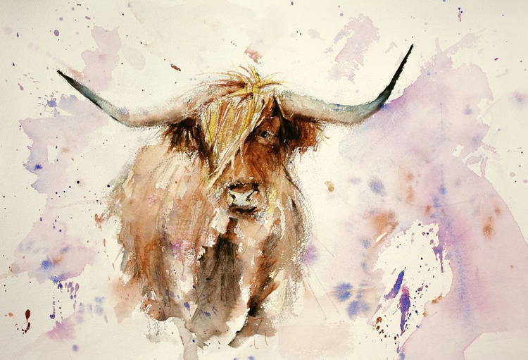 Highland Cow Watercolour By Tomasz Mikutel Artfinder