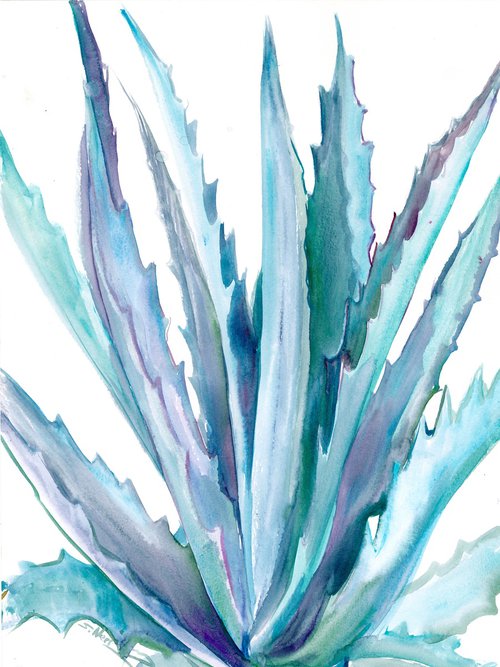 Agave by Suren Nersisyan