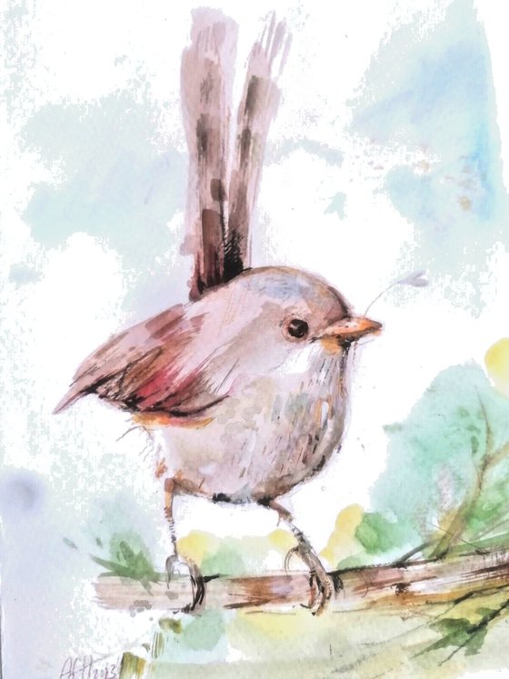 fairy wren II watercolour