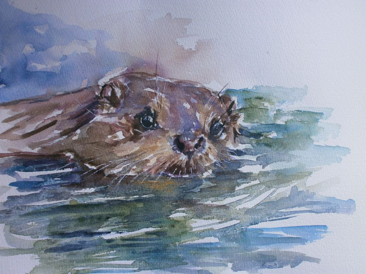 otter swimming by Sue  Green