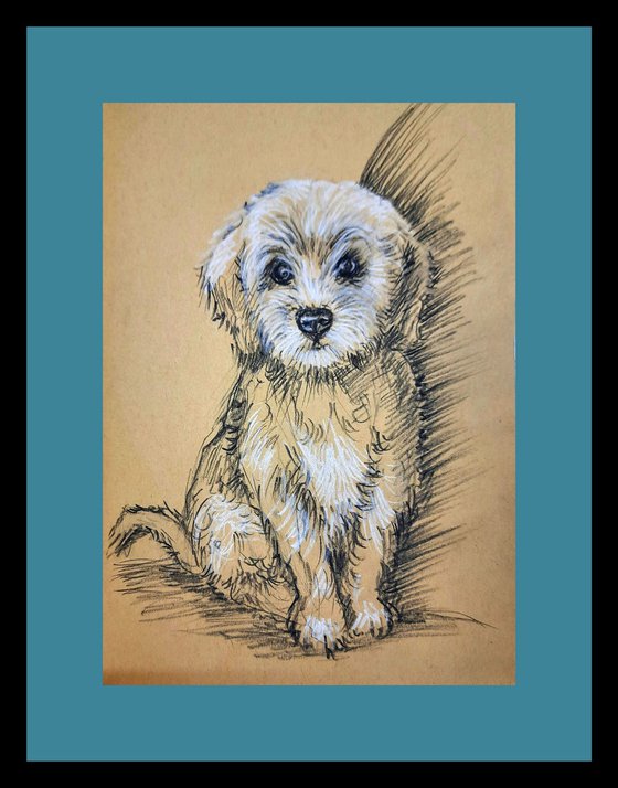 Cute puppy sketch