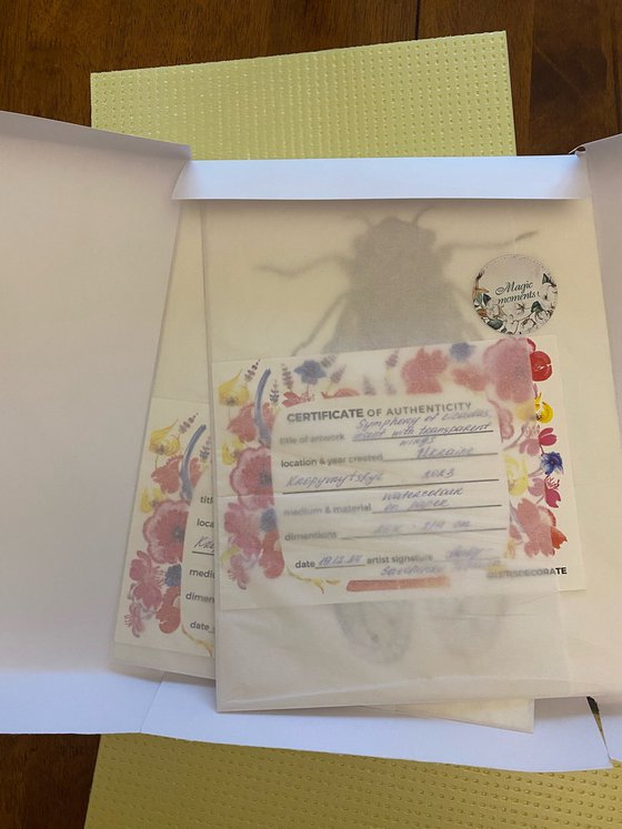 Great cormorant, bird portrait